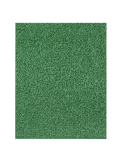 Green_Astroturf__4d090749a6a44.jpg