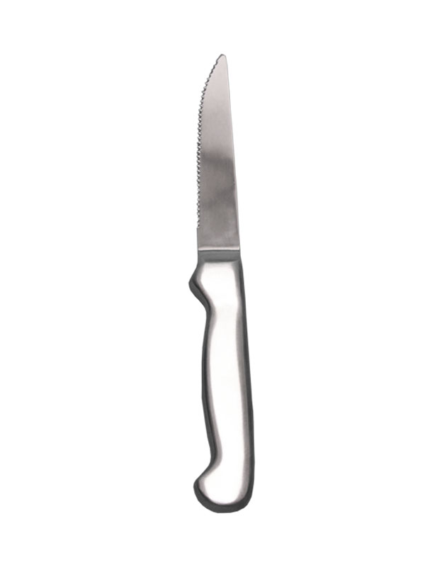 stainless steel steak knife.jpg